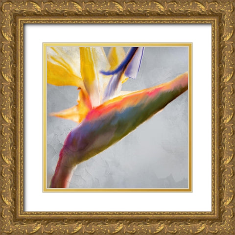Strelitzia 1 Gold Ornate Wood Framed Art Print with Double Matting by Kimberly, Allen