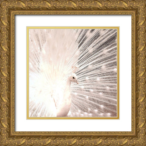 White Peacock Gold Ornate Wood Framed Art Print with Double Matting by Kimberly, Allen