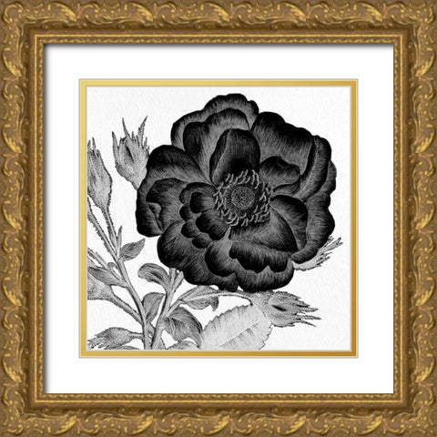 Black and White Bloom 1 Gold Ornate Wood Framed Art Print with Double Matting by Allen, Kimberly