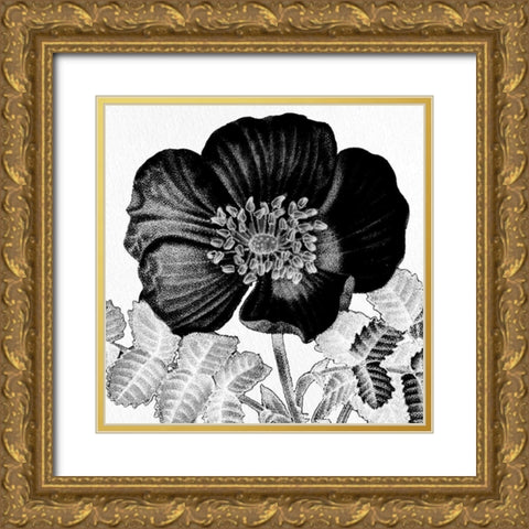 Black and White Bloom 2 Gold Ornate Wood Framed Art Print with Double Matting by Allen, Kimberly