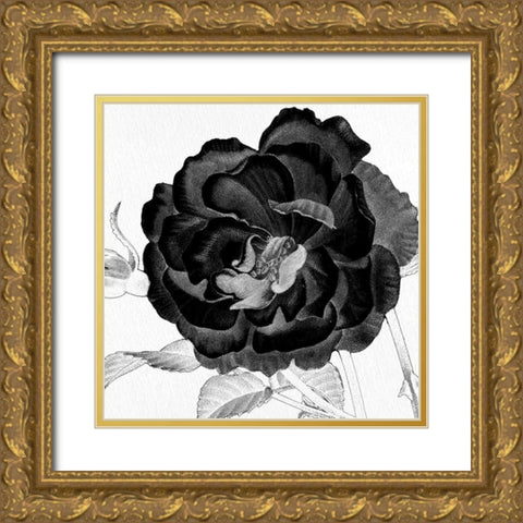 Black and White Bloom 3 Gold Ornate Wood Framed Art Print with Double Matting by Allen, Kimberly