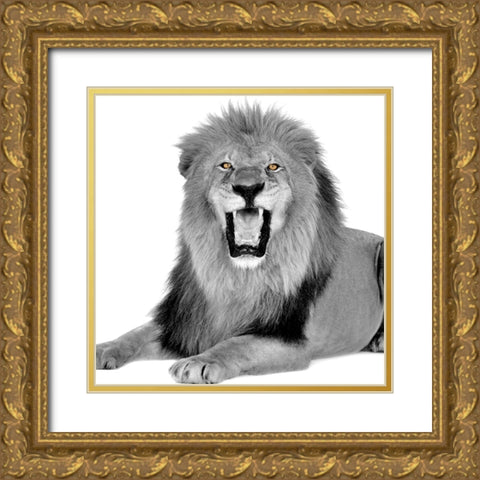 Power Gold Ornate Wood Framed Art Print with Double Matting by Allen, Kimberly