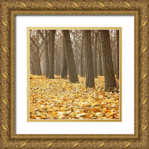 Forest Floor 2 Gold Ornate Wood Framed Art Print with Double Matting by Kimberly, Allen