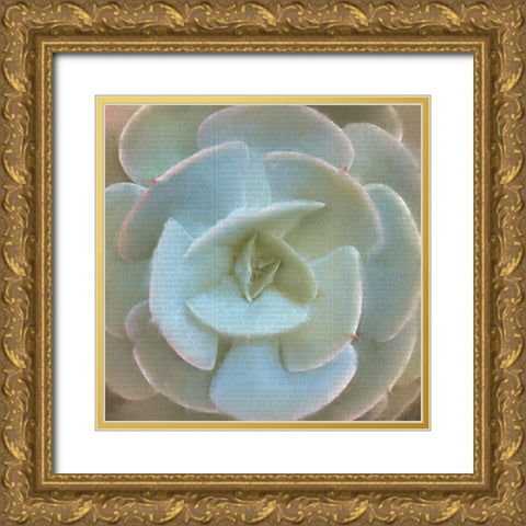 Newspaper Succulent 2 Gold Ornate Wood Framed Art Print with Double Matting by Kimberly, Allen