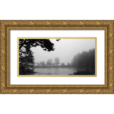 Across The Lake 1 Gold Ornate Wood Framed Art Print with Double Matting by Colberg, Lisa