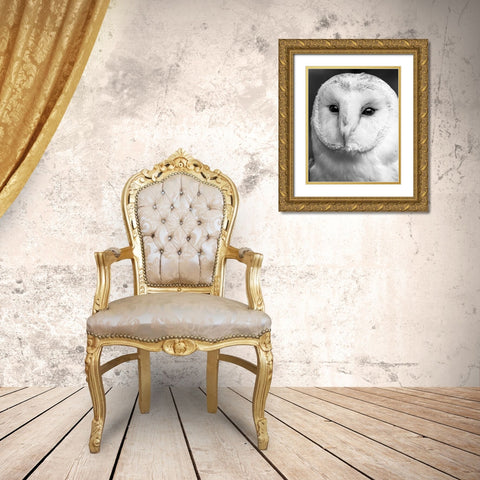 Owl Close Up Gold Ornate Wood Framed Art Print with Double Matting by Straatsma, Leah