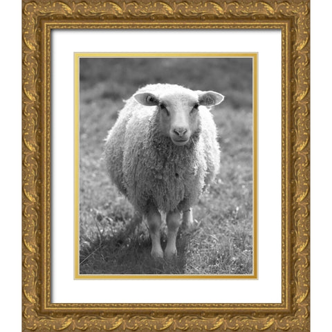 Cute Sheep Gold Ornate Wood Framed Art Print with Double Matting by Straatsma, Leah