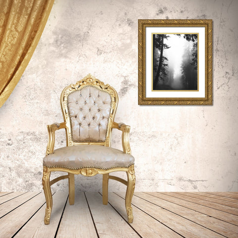 Misty Path Gold Ornate Wood Framed Art Print with Double Matting by Straatsma, Leah