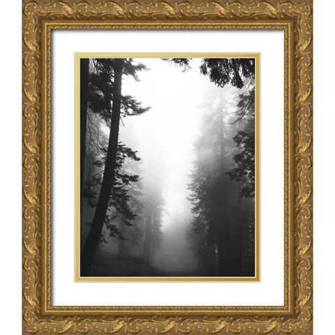 Misty Path Gold Ornate Wood Framed Art Print with Double Matting by Straatsma, Leah