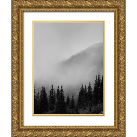 Smokey Mountains Gold Ornate Wood Framed Art Print with Double Matting by Straatsma, Leah