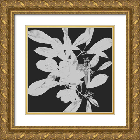 Botanical Dark 1 Gold Ornate Wood Framed Art Print with Double Matting by Hogan, Melody