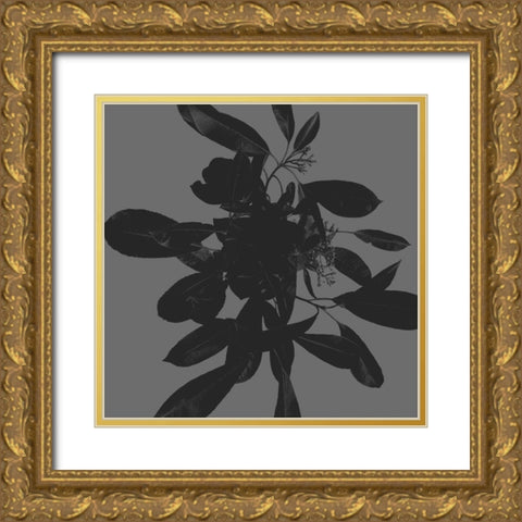Botanical Light 1 Gold Ornate Wood Framed Art Print with Double Matting by Hogan, Melody