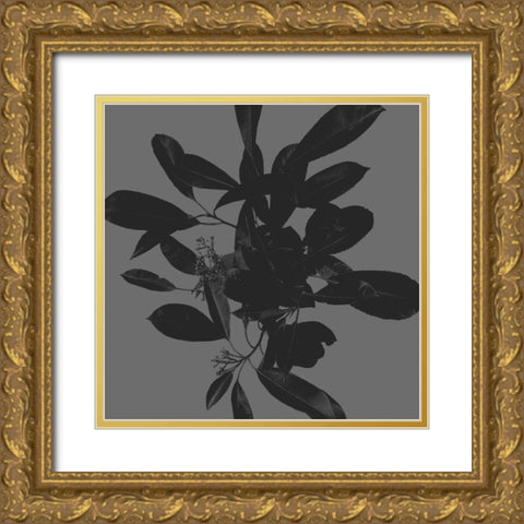 Botanical Light 2 Gold Ornate Wood Framed Art Print with Double Matting by Hogan, Melody