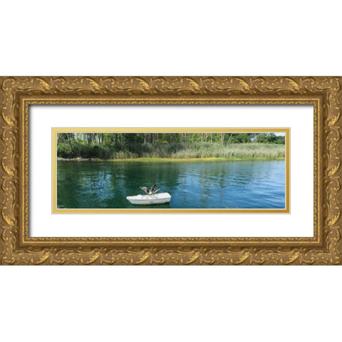 Scenic River 3 Gold Ornate Wood Framed Art Print with Double Matting by Prime, Marcus