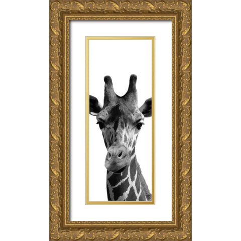 Thoughtful Giraffe Gold Ornate Wood Framed Art Print with Double Matting by Prime, Marcus