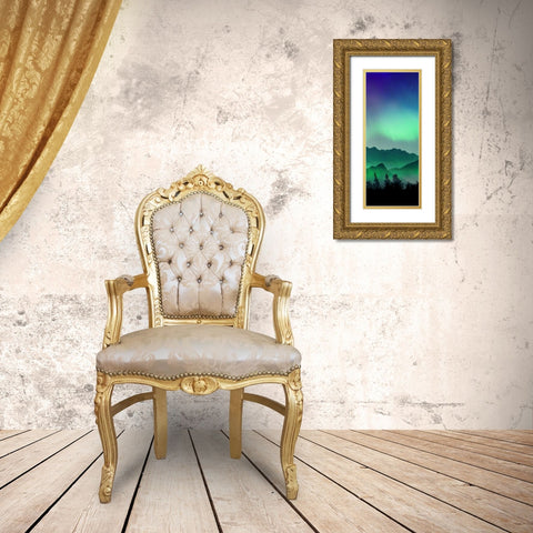 Borealis Vision 3 Gold Ornate Wood Framed Art Print with Double Matting by Prime, Marcus