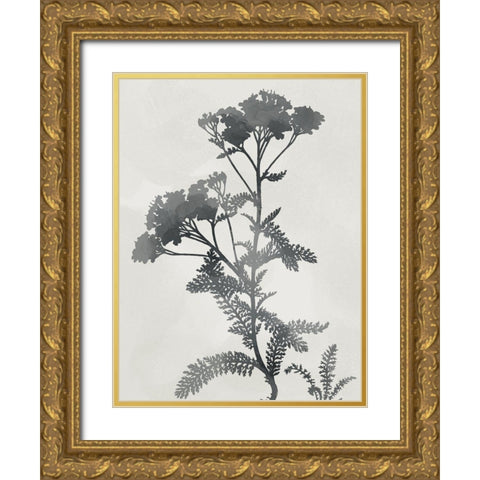 Shadowed Botanical Gold Ornate Wood Framed Art Print with Double Matting by Prime, Marcus