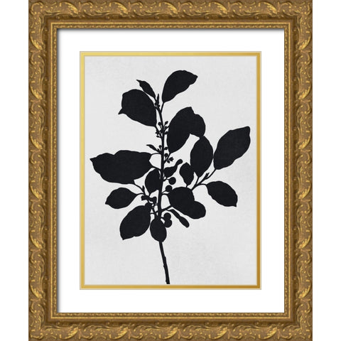 Silhouetted Inverted Growth 2 Gold Ornate Wood Framed Art Print with Double Matting by Prime, Marcus