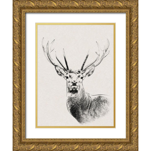 Wilderness Stare Gold Ornate Wood Framed Art Print with Double Matting by Prime, Marcus