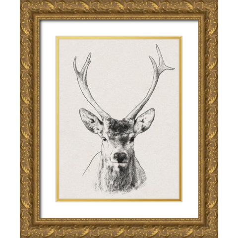 Wilderness Stare 2 Gold Ornate Wood Framed Art Print with Double Matting by Prime, Marcus