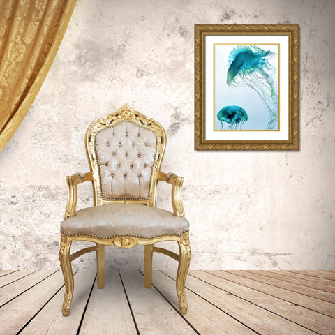 Jelly Fish Friends Gold Ornate Wood Framed Art Print with Double Matting by Prime, Marcus