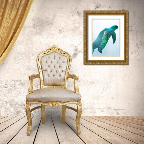 Floating Turtle Gold Ornate Wood Framed Art Print with Double Matting by Prime, Marcus