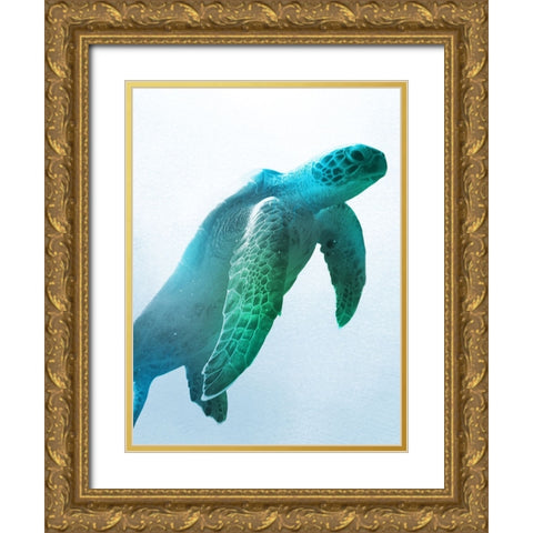 Floating Turtle Gold Ornate Wood Framed Art Print with Double Matting by Prime, Marcus