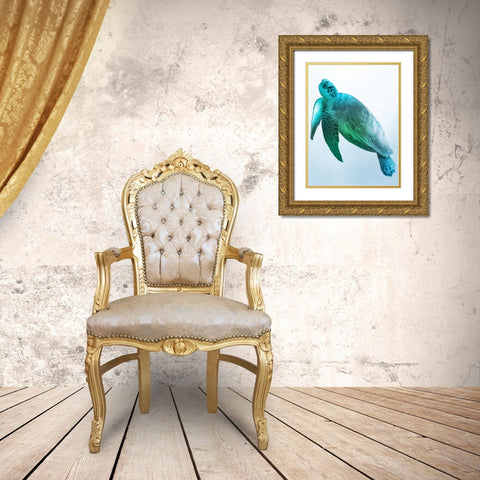 Floating Turtle 2 Gold Ornate Wood Framed Art Print with Double Matting by Prime, Marcus