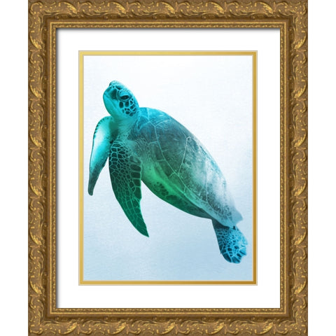 Floating Turtle 2 Gold Ornate Wood Framed Art Print with Double Matting by Prime, Marcus