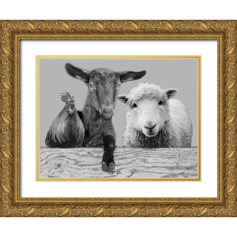 Three Amigos 2 Gold Ornate Wood Framed Art Print with Double Matting by Prime, Marcus