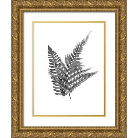 Fern Dueling 2 Gold Ornate Wood Framed Art Print with Double Matting by Prime, Marcus