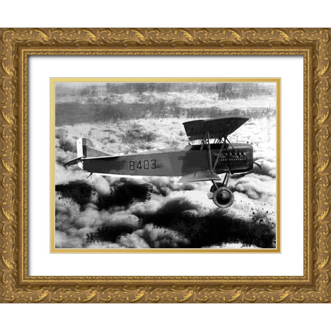 Aerial Maneuvers 1 Gold Ornate Wood Framed Art Print with Double Matting by Prime, Marcus