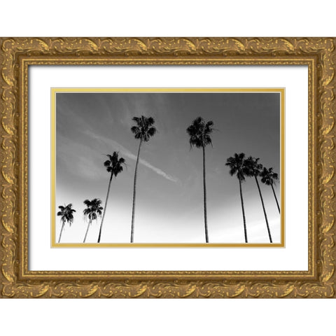 Passerby Palms Gold Ornate Wood Framed Art Print with Double Matting by Prime, Marcus