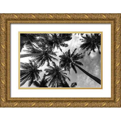 Passerby Palms 2 Gold Ornate Wood Framed Art Print with Double Matting by Prime, Marcus