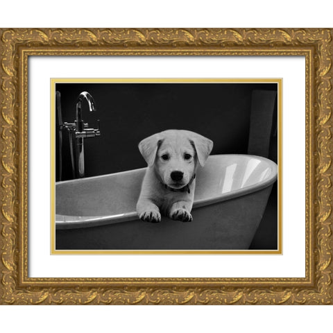 Bathroom Friend 1 Gold Ornate Wood Framed Art Print with Double Matting by Prime, Marcus