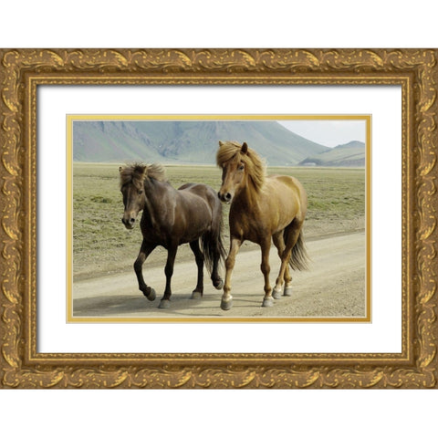 Buddy Gallop Gold Ornate Wood Framed Art Print with Double Matting by Prime, Marcus