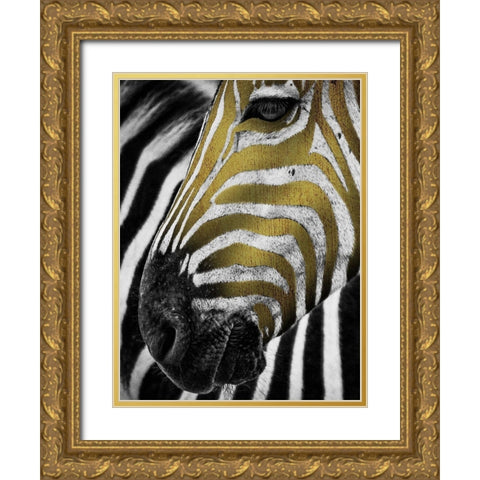 Vibrant Zebra Gold Ornate Wood Framed Art Print with Double Matting by Prime, Marcus