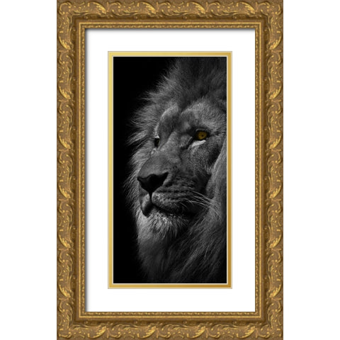 Powerful Resilience 1 Gold Ornate Wood Framed Art Print with Double Matting by Prime, Marcus