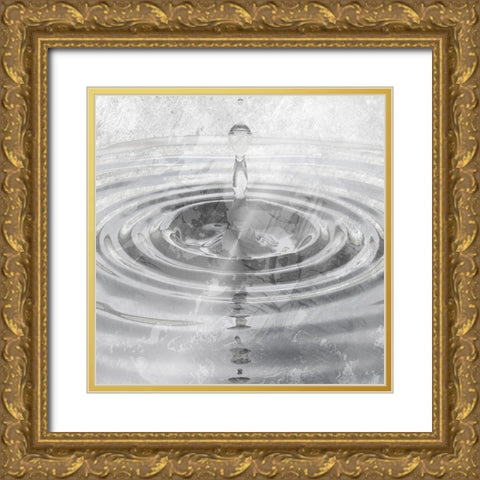 Silver Droplet Gold Ornate Wood Framed Art Print with Double Matting by Prime, Marcus