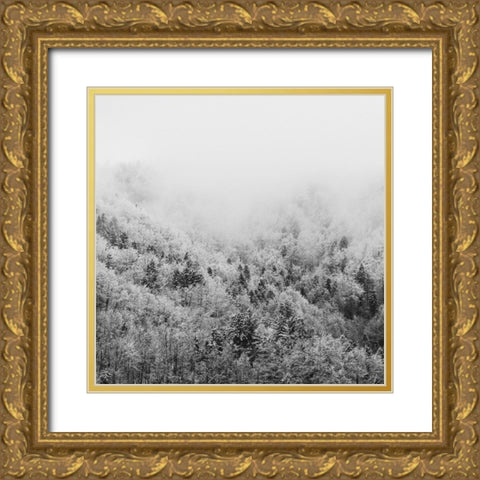 Winter Storm 1 Gold Ornate Wood Framed Art Print with Double Matting by Prime, Marcus