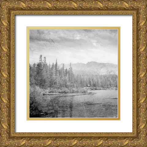 Vintage Wonders 1 Gold Ornate Wood Framed Art Print with Double Matting by Prime, Marcus