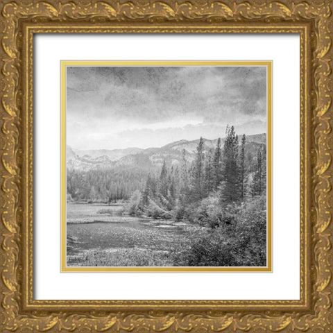 Vintage Wonders 2 Gold Ornate Wood Framed Art Print with Double Matting by Prime, Marcus