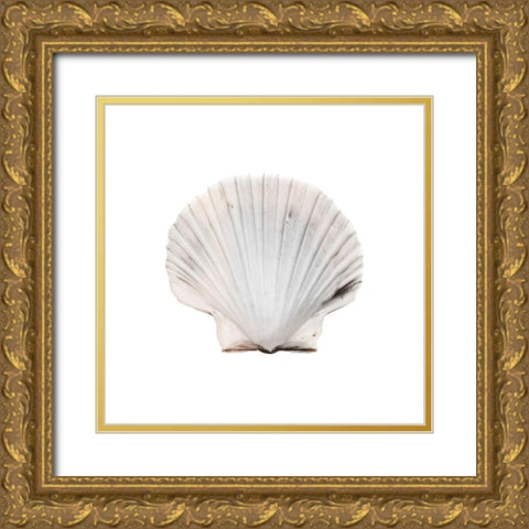 Calming Shell 2 Gold Ornate Wood Framed Art Print with Double Matting by Prime, Marcus