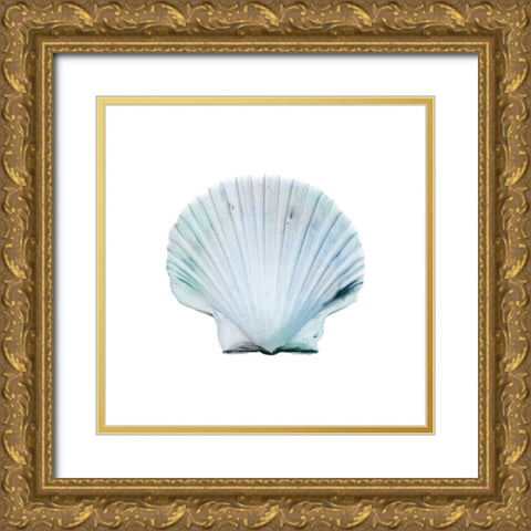 Seaside Shell 1 Gold Ornate Wood Framed Art Print with Double Matting by Prime, Marcus
