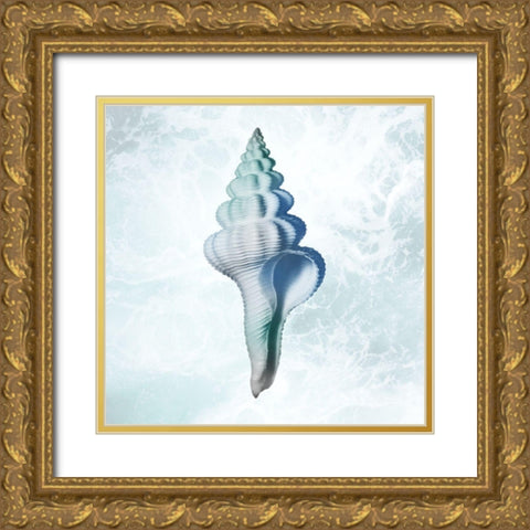 Seaside Infused Shell 2 Gold Ornate Wood Framed Art Print with Double Matting by Prime, Marcus