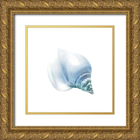Seaside Shell 3 Gold Ornate Wood Framed Art Print with Double Matting by Prime, Marcus