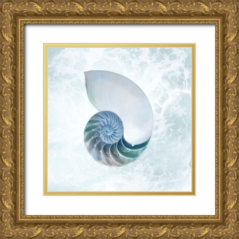 Seaside Infused Shell 4 Gold Ornate Wood Framed Art Print with Double Matting by Prime, Marcus