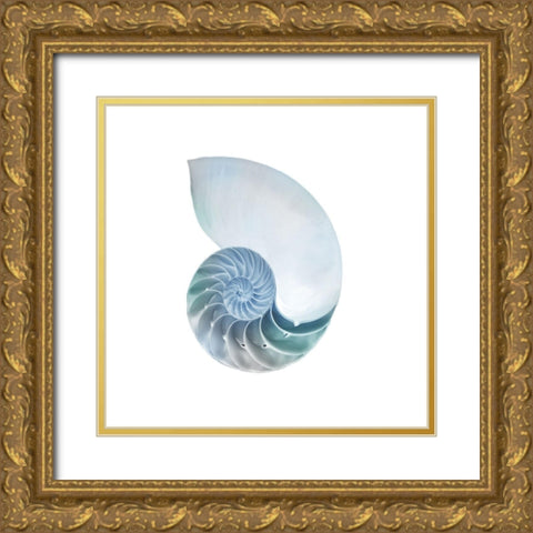 Seaside Shell 4 Gold Ornate Wood Framed Art Print with Double Matting by Prime, Marcus