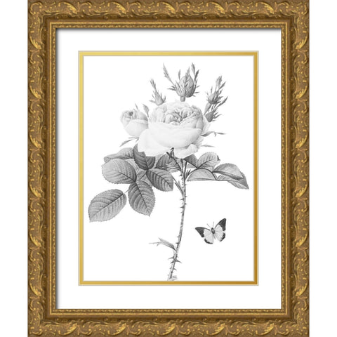 Greyscale Floral Gold Ornate Wood Framed Art Print with Double Matting by Villa, Mlli
