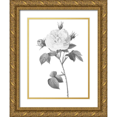Greyscale Floral Two Gold Ornate Wood Framed Art Print with Double Matting by Villa, Mlli